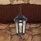 Nuvo East River Outdoor Hanging Fixture LED SMART Starfish RGBTW Matte Black, Clear Water Glass 62/5944 - alternate 2